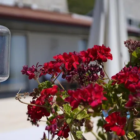 Emilie Appartamento *