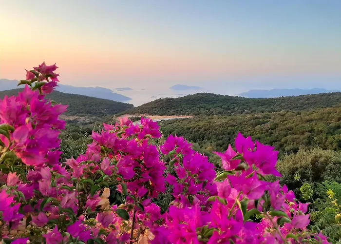 Emilie 公寓 卡斯