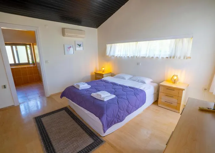 Emilie 公寓 卡斯